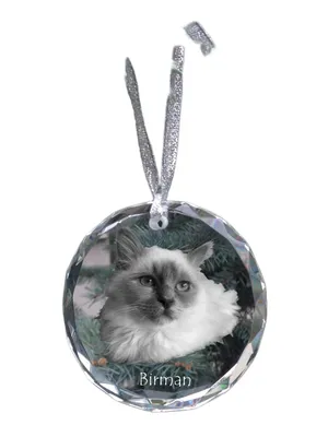 Obrázek produktu pro Birman - křišťálová ozdoba s fotografií, fotografie kočky v křišťálu, personalizovaná vánoční ozdoba značky Art-Dog