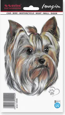 Produktbild von AutoTattoo Aufkleber Yorkshire Terrier - 11x15,5cm