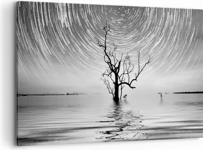 Produktbild von Bild auf Leinwand - Leinwandbild - Einteilig - Schwarzweiß Baum See - 120x80cm - Wand Bild - Wanddeko - Wandbilder - Leinwanddruck - Bilder - Wanddekoration - Leinwand bilder - AA120x80-4253