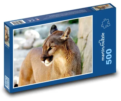 Obrázek produktu pro Puzzle 500 Puma - divoká kočka - martinpuzzle