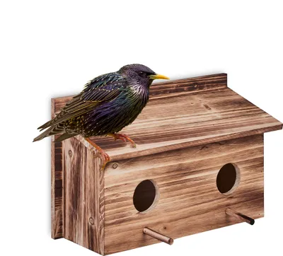 Produktbild von Relaxdays Nistkasten für Stare, natürliches Tannenholz, 2x Einflugloch 5 cm, Sitzstange, Vogelhaus zum Aufhängen, natur