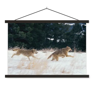 Produktbild von MuchoWow® Textilposter Wolf - Baum - Tiere 150x100 cm mit schwarzem Rahmen - Schlafzimmer