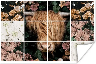 Produktbild von MuchoWow® Poster Collage - Schottisches Hochlandrind - Blumen 120x80 cm - Bilder