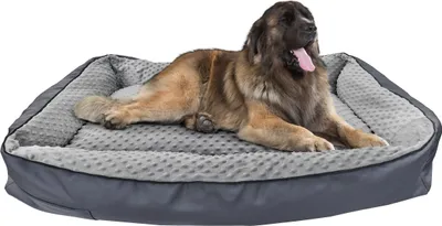 Produktbild von Hundebett orthopädisches Tierbett für jede Hundegröße waschbar V-30.3196x60