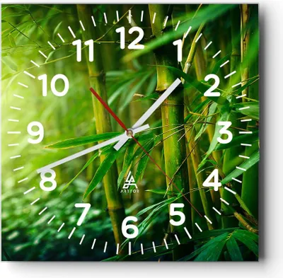 Produktbild von Wanduhr - Quadrat - Glasuhr - Bambus Pflanze - 40x40cm - Schleichendes Uhrwerk - Lautlos - zum Aufhängen bereit - Dekoration Modern - Wanddekoration aus Glas - C4AC40x40-3558