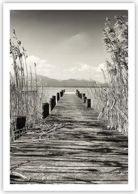 Produktbild von Poster - Poster ohne Rahmen - Brücke Pier Sepia - 70x100 cm - Wand Bild - Wanddeko - Wandbilder - Kunstposter - Wandposter - Bilder - Kunstdruck - Wanddekoration - Wandbild - P2XPA70x100-4928