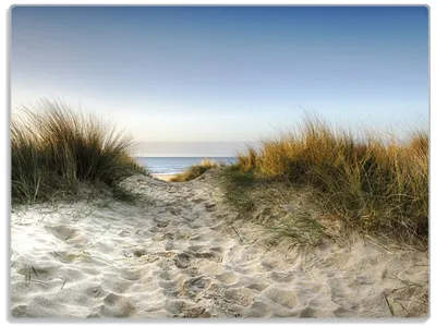 A sandy path leading through tall dune grass towards the ocean.