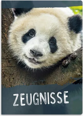 Produktbild von Certifikatsmap mit DIN A4-Papier, robuste Map für Dokumente, 20 steife Einsteckfächer, für Mädchen und Jungen (Panda-Motiv)