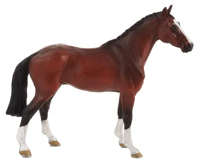 Image de Mojo Horse World Dutch Warmblood 387294