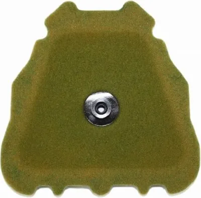 Immagine prodotto di Filtro aria TWIN AIR pre-oliato - 152221X