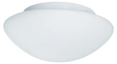 Obrázek produktu pro Stropní svítidlo, ocel, opál, sklo, bílé, stmívatelné, IP44