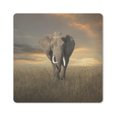 Produktbild von MuchoWow® Mauspad Mousepad Elefant - Tiere - Gras - Natur 30x30 cm - Mousepads - Maus Mat - Pad - Mausunterlage - Gaming
