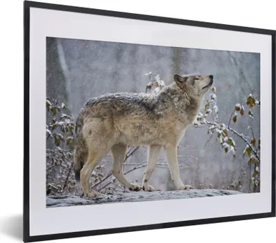 Produktbild von MuchoWow® Gerahmtes Poster Wolf - Schnee - Winter 40x30 cm - Poster mit Schwarzem Bilderrahmen Wandposter Rahmen Foto Bilder - Bilderrahmen - Poster im Rahmen