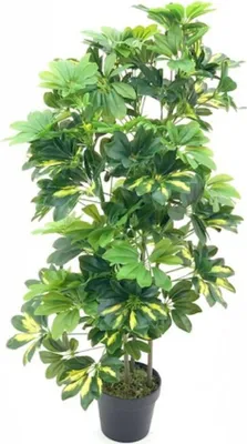 Immagine prodotto di Pianta artificiale Schefflera foglie verdi e vaso – Altezza 96 cm