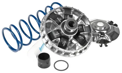 Produktbild von Variomatik Polini Hi-Speed für REX RS 450 50, REX RS 460 50, Generic Cracker 50