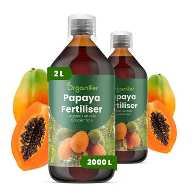 Produktbild von Papaya Flüssigdünger 2x1L – 2-1-8 NPK – Flüssig-Pflanzendünger für Papaya – Fördert Blüte, Fruchtbildung & Wurzelentwicklung – Organifer