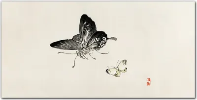 Produktbild von Coloray - Bild aus Glas - Glasbilder - 100 x 50 cm - Küche Wanddekoration Dekoration Wohnzimmer Gehärtetes Glas Glasblock mit Bild - Insekten Schmetterling