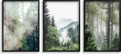 Produktbild von Poster 30x40 fürs Büro Wohnzimmer Bilder im schwarzen Rahmen für die Wand Bäume Wald