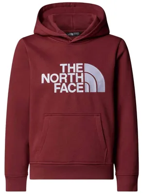 Obrázek produktu pro Mikina The North Face 077-52290928214355 pro Chlapecké