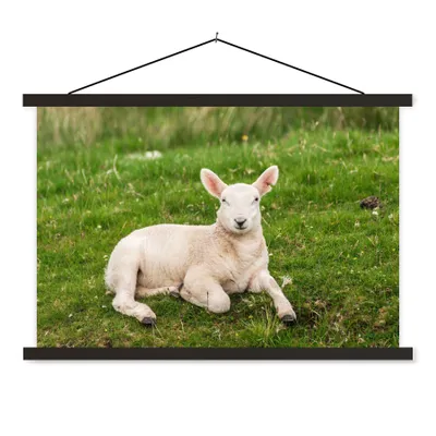 Produktbild von MuchoWow® Textilposter Schafe - Tiere - Lamm 60x40 cm mit schwarzem Rahmen - Hölzernes