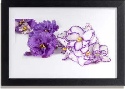 Produktbild von Bild 30x20 MDF-Rahmen Wandkunst Natur Blume Pflanze