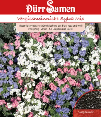 Produktbild von Vergissmeinnicht Sylva Mix | Vergissmeinnichtsamen von Dürr Samen
