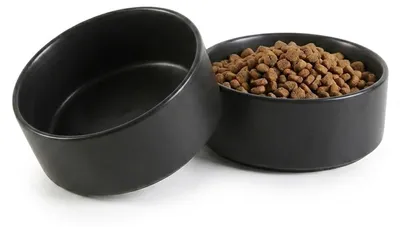 Zdjęcie produktu dla Zestaw 2 misek ceramicznych z antypoślizgową powierzchnią, przeznaczonych dla małych psów i kotów (13 cm)