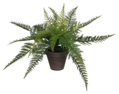 Produktbild von Mica Decorations Farn Kunstpflanze im Blumentopf Stan - H38 x Ø50 cm - Grün