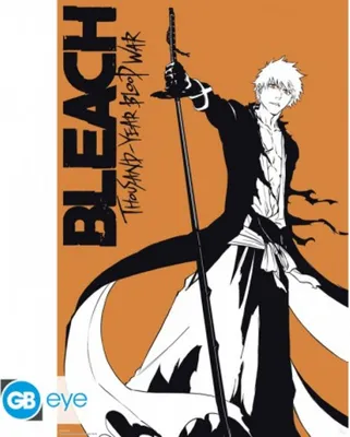Produktbild von BLEACH TYBW - Poster Maxi 91.5x61 - Ichigo