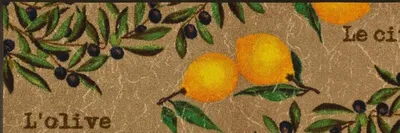 Produktbild von wash+dry Fußmatte Le Citron" braun 60x180 cm"