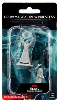 Image de Miniatures merveilleuses de Nolzur - Mage drow et prêtresse drow