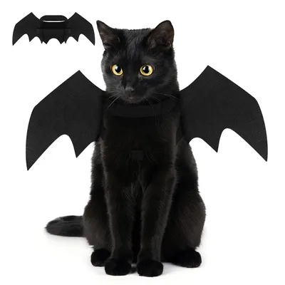 A black cat wearing black bat wings costume, sitting and looking forward against a white background.