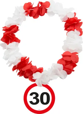 Produktbild von 30. Geburtstag Verkehrsschild Hawaiikette