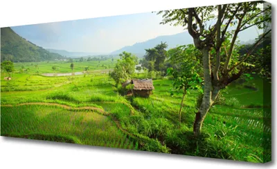 Produktbild von Tulup Leinwand-Bilder 125x50 Wandbild Canvas Kunstdruck Wiese Natur