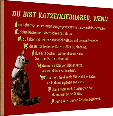 Produktbild von Holzschild Spruch 30x20cm du bist Katzenliebhaber wenn