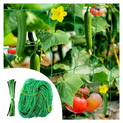 Produktbild von Kletternetz 5 x 2 m für Pflanzenstütze im Gewächshaus und Garten