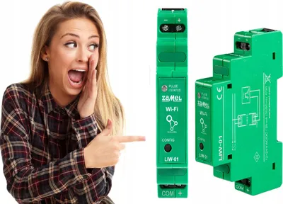 Zdjęcie produktu dla Zamel | Licznik impulsów LIW-01 - 12-24V - kompakt - Wi-Fi - pomiar energii i wody