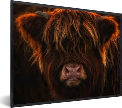 Produktbild von MuchoWow® Gerahmtes Poster Schottischer Highlander - Kuh - Schwarz - Porträt 80x60 cm - Poster mit Schwarzem Bilderrahmen Wandposter Rahmen Foto Bilder - Schwarzem - Mit Gestell