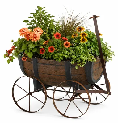 Produktbild von Pflanzwagen Nessa im Holzfass-Look 41x30x16 cm (BxHxT) mit Speichenrädern für Garten & Terrasse
