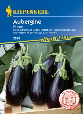 Produktbild von Aubergine Falcon Kiepenkerl Hybrid-Saatgut Gemüsesamen