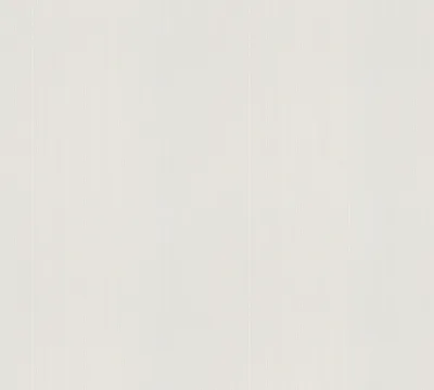 Obrázek produktu pro A.S. Création netkaná tapeta Meistervlies Pro Protect 2, bílá, malovatelná, 25,00 m x 1,06 m, 575418, 5754-18
