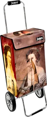 Obrázek produktu pro Nákupní vozík James - SISSI-BROKEN - robustní nákupní vozík s individuálním designem - jednobarevný: hnědý v provedení: Chrome19