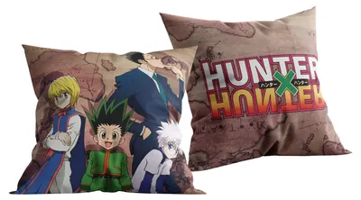 Image de Pillow Hunter X Hunter - Personnages