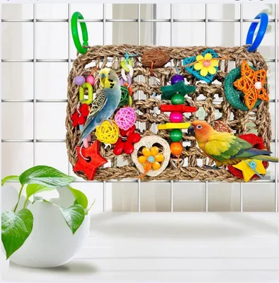 Spielzeug für Tiere