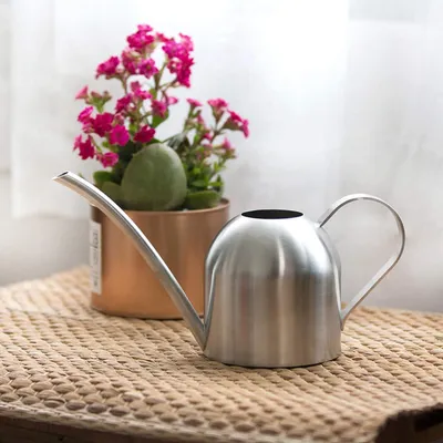 Produktbild von Gießkanne aus rostfreiem Metall für Pflanzen, Gießkanne für den Innen- und Gartenbereich aus Metall, lange Öffnung, Gießkanne für den Außenbereich mit Ausguss für Zimmerpflanzen, Gartengießkanne, 1000 ml, Silber