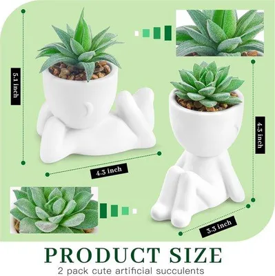 Productafbeelding van Famanu Set van 2 kunstplanten, succulenten - Decoratie voor kantoor en huis