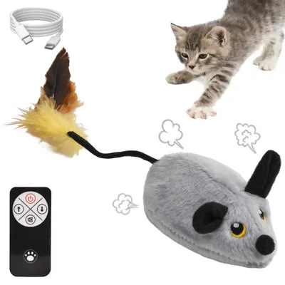 Produktbild von OKWISH Katzenspielzeuge, Elektrische RC Maus Katzenspielzeug, Ferngesteuerte Spielzeugmaus, Interaktives Katzen Spielzeug, Bewegliche Plüschmaus, Jagdspielzeug für Katzen, Unterhaltung & Training, Grau