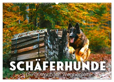Produktbild von Schäferhunde - Die gutmütigen Wegbegleiter. (Wandkalender 2027 DIN A2 quer), CALVENDO Monatskalender