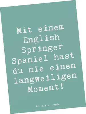 Produktbild von Mr. & Mrs. Panda Postkarte Spruch English Springer Spaniel Spaß - Meeresbrise - Geschenk, stolzer Hundebesitzer, liebevolle Natur, Hunderassen Beschreibung, Ansichtskarte