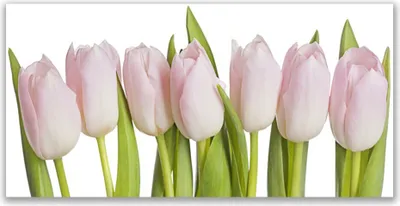 Produktbild von Tulup Leinwand-Bilder 140x70 Wandbild Canvas Kunstdruck Tulpen Pflanzen